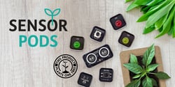 SENSOR PODS - THE SEED OF OUR SUSTAINABLE FUTURE